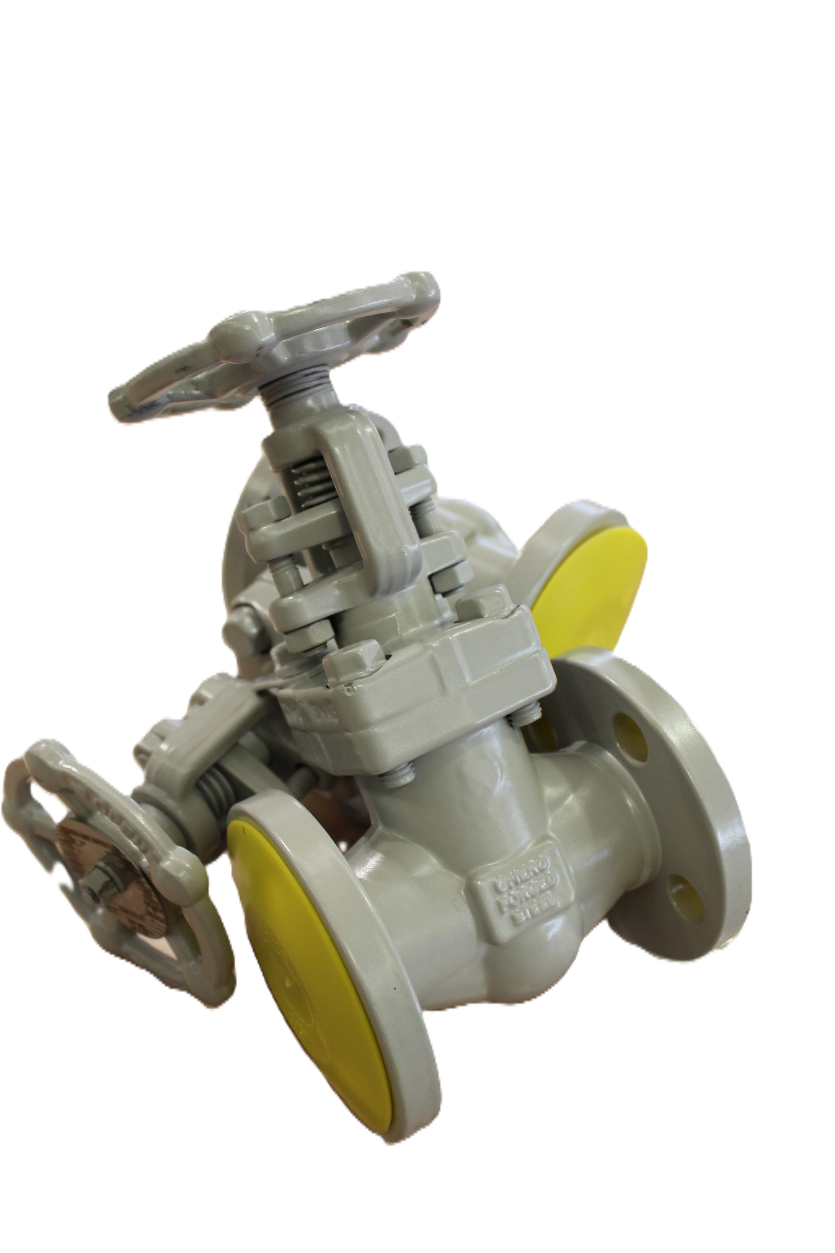 Douglas Chero - gate, globe and check valves